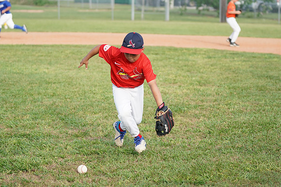 Allstar24spring
