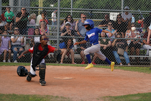 Allstar24spring