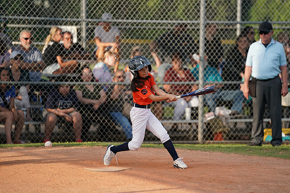 Allstar24spring