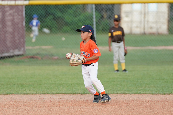Allstar24spring