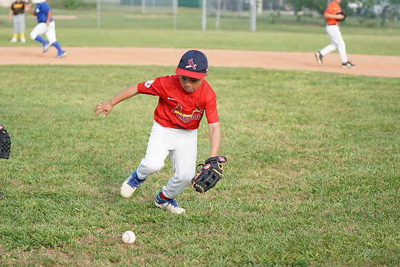 Allstar24spring